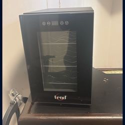 Wine Fridge 