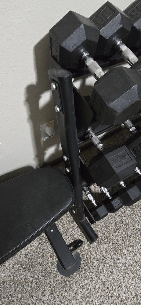 Weight Bench, Rack, Set Exercise
