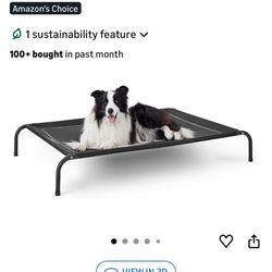 Large Raised Dog Beds