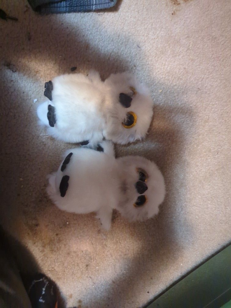 Two Owl Plushies