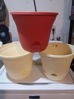 vace para  plantas a $7 cada una