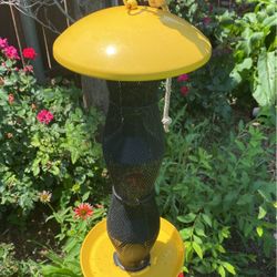 Bird Feeder 