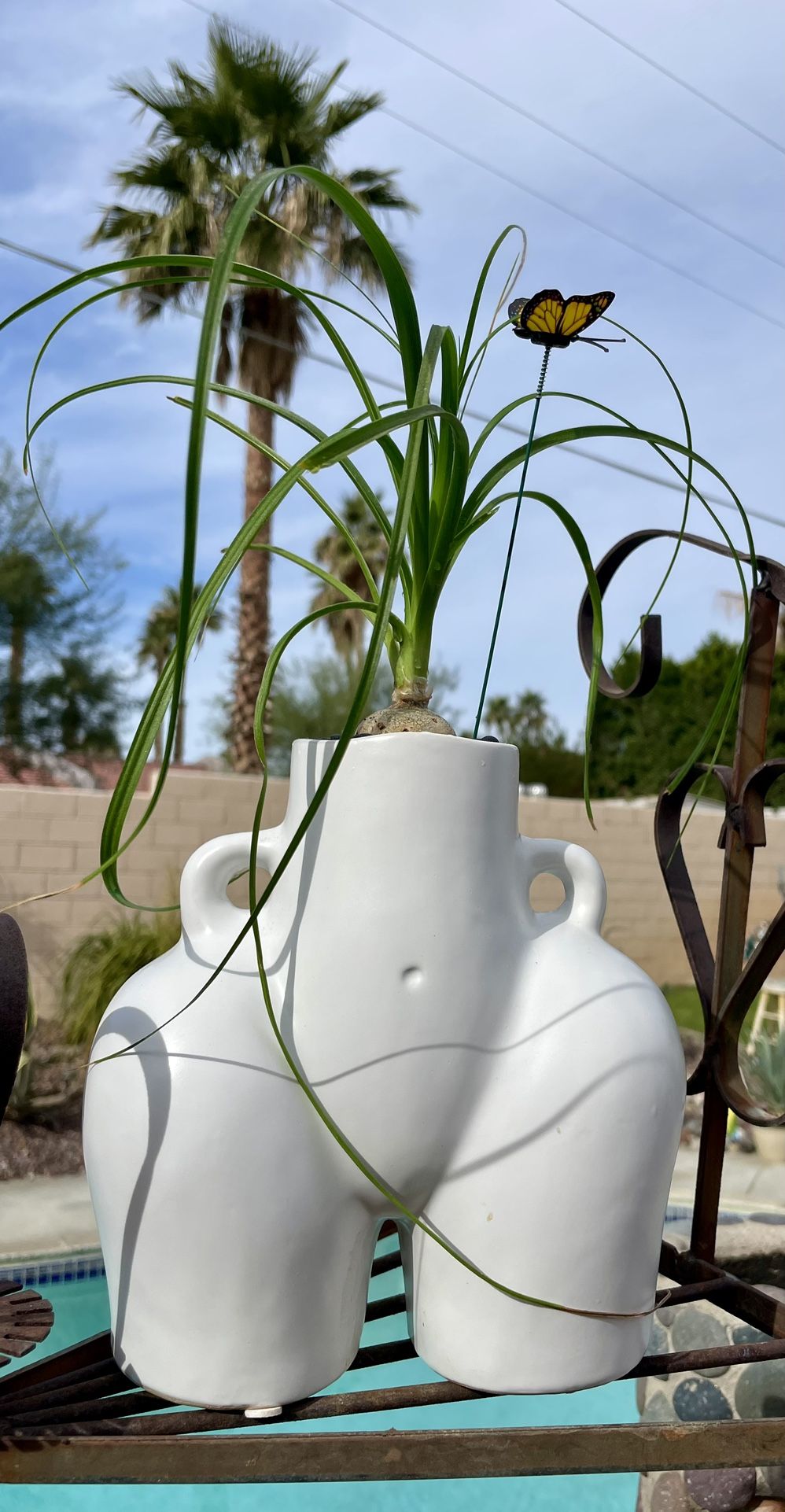 Big Booty Planters!