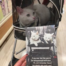 Pet Stroller