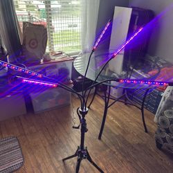Indoor Plant Grow lights 