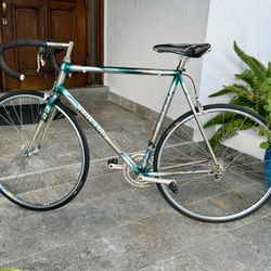 Vintage COLNAGO Campagnolo Titanium Bike