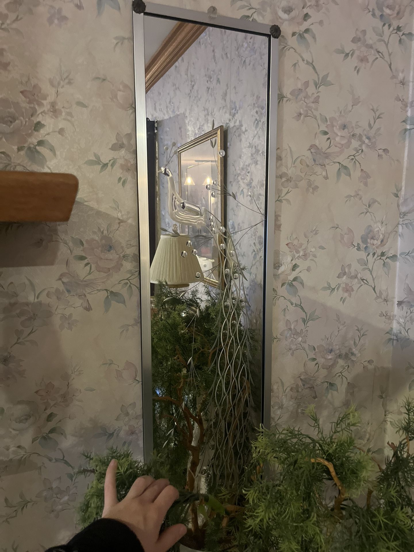 Vintage Peakcock Mirror 