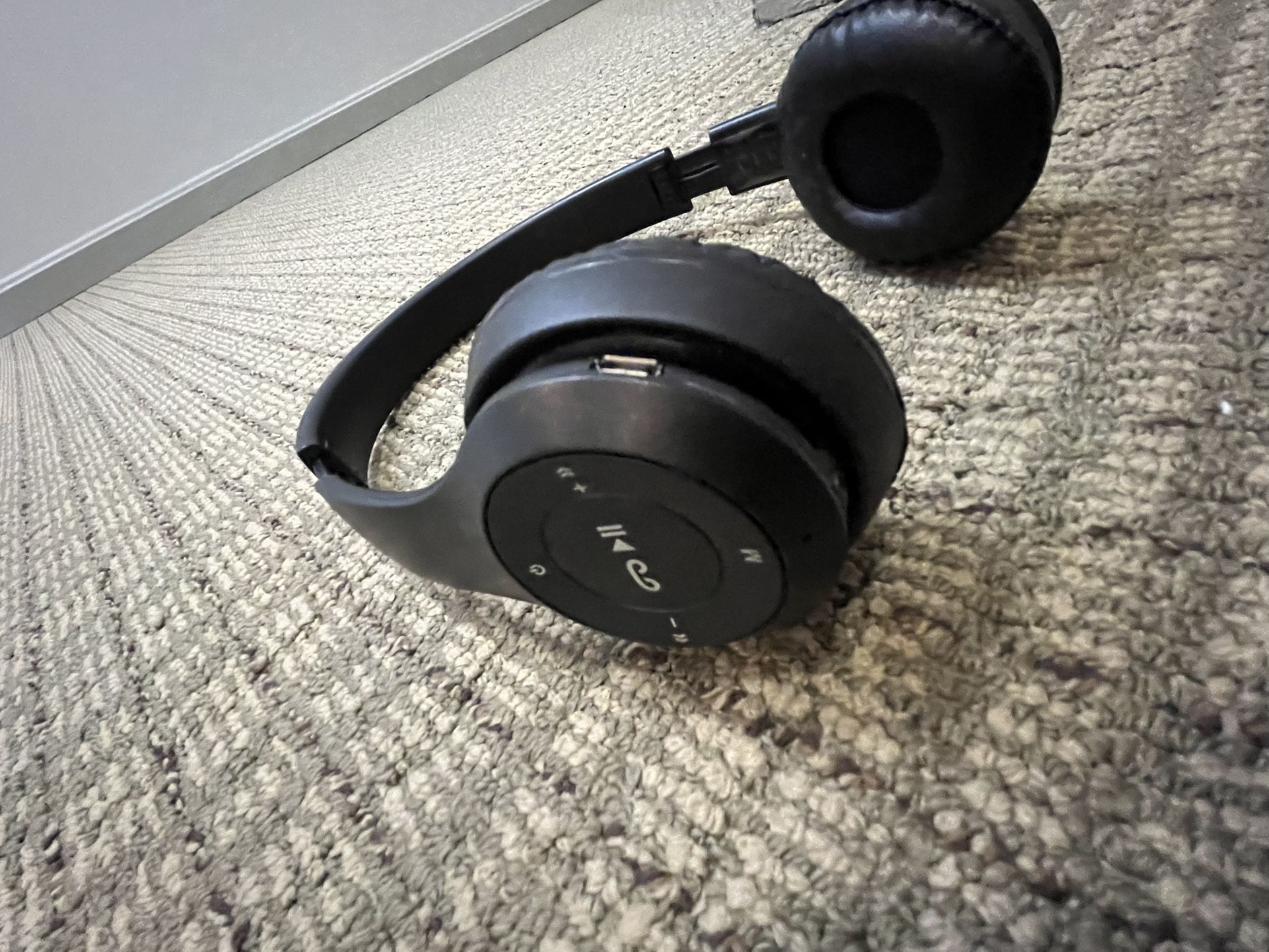 Elite Waterproof Headphones