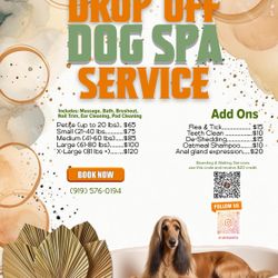 Dog Spa