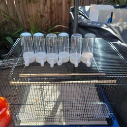 Vendo 6 Vevederos  De Agua Para Pajaros 