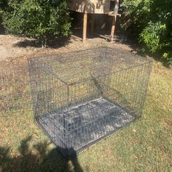 medium cage 