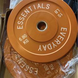 New Pair Of 15Th Bumper Weights