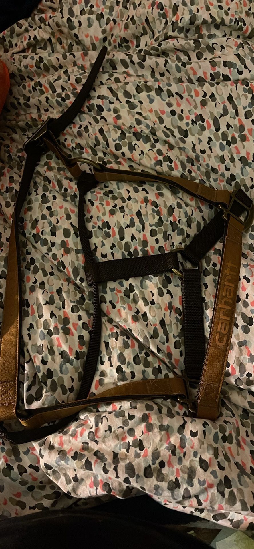 Horse Halter