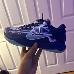 Kobe 5 X-ray