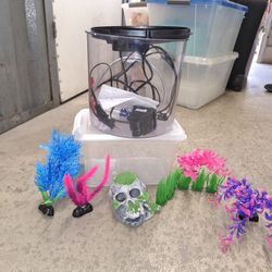 Aquarium, Filter, And Decor