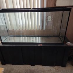 100 Gallon  Fish Tank With Stand