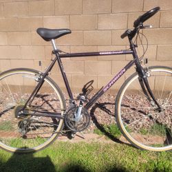 Schwinn Criss Cross Bike