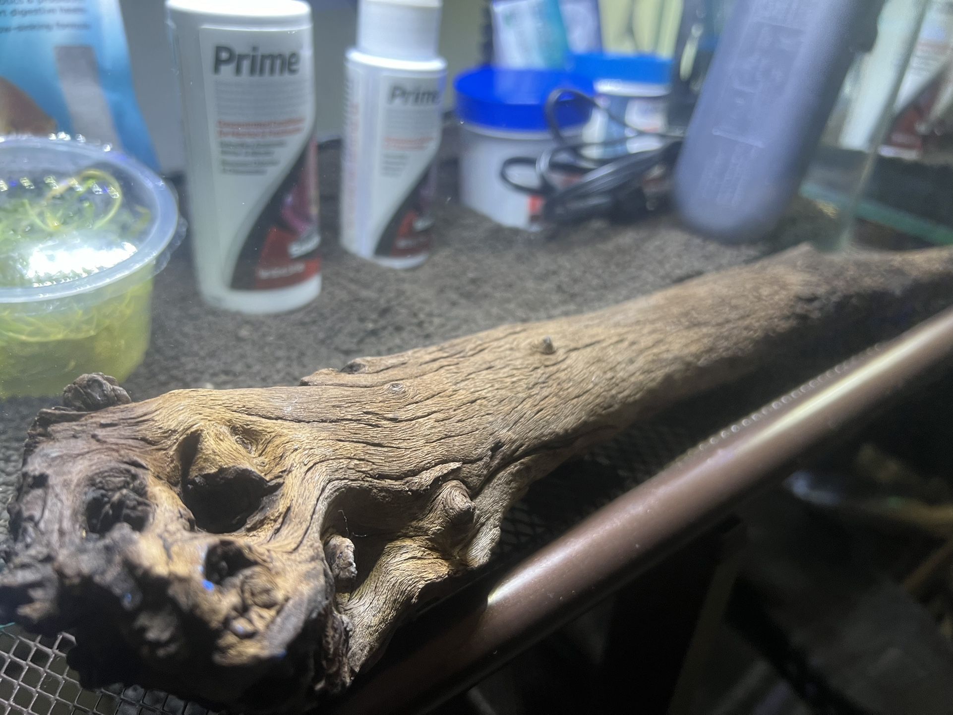 Drift Wood 