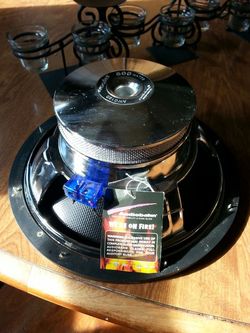12" subwoofer