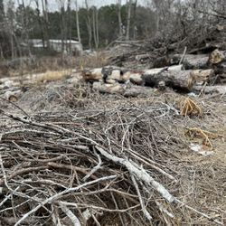Free Lumber (wood) 