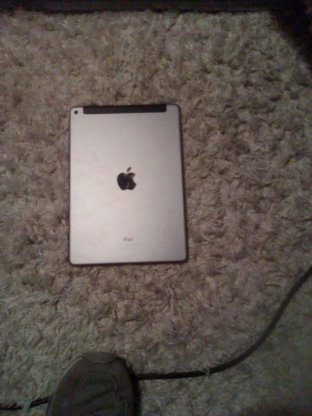 iPad 1567 And Otter Box With It