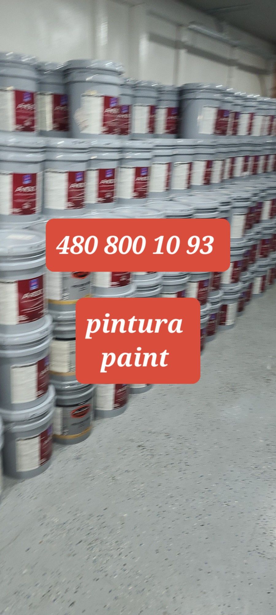 Paint  For Sale 