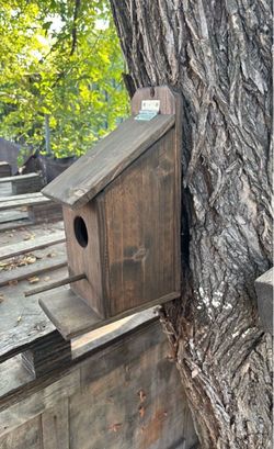 Birdhouse with Entry Hole