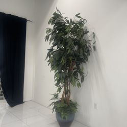 10 Ft Artificial Ficus