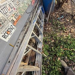 Werner Ladder 8 And 24 