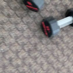 15 Lbs Dumbbells 