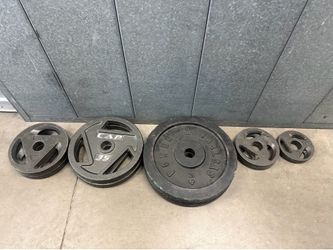 Olympic plates 220lbs