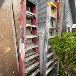 Assorted Werner Ladders