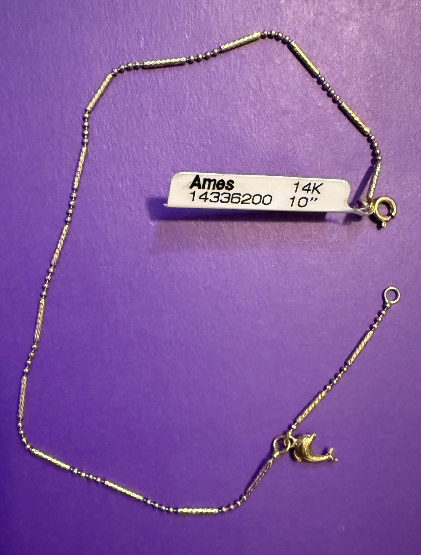 14k Gold 10” Anklet With Dolphin Charm