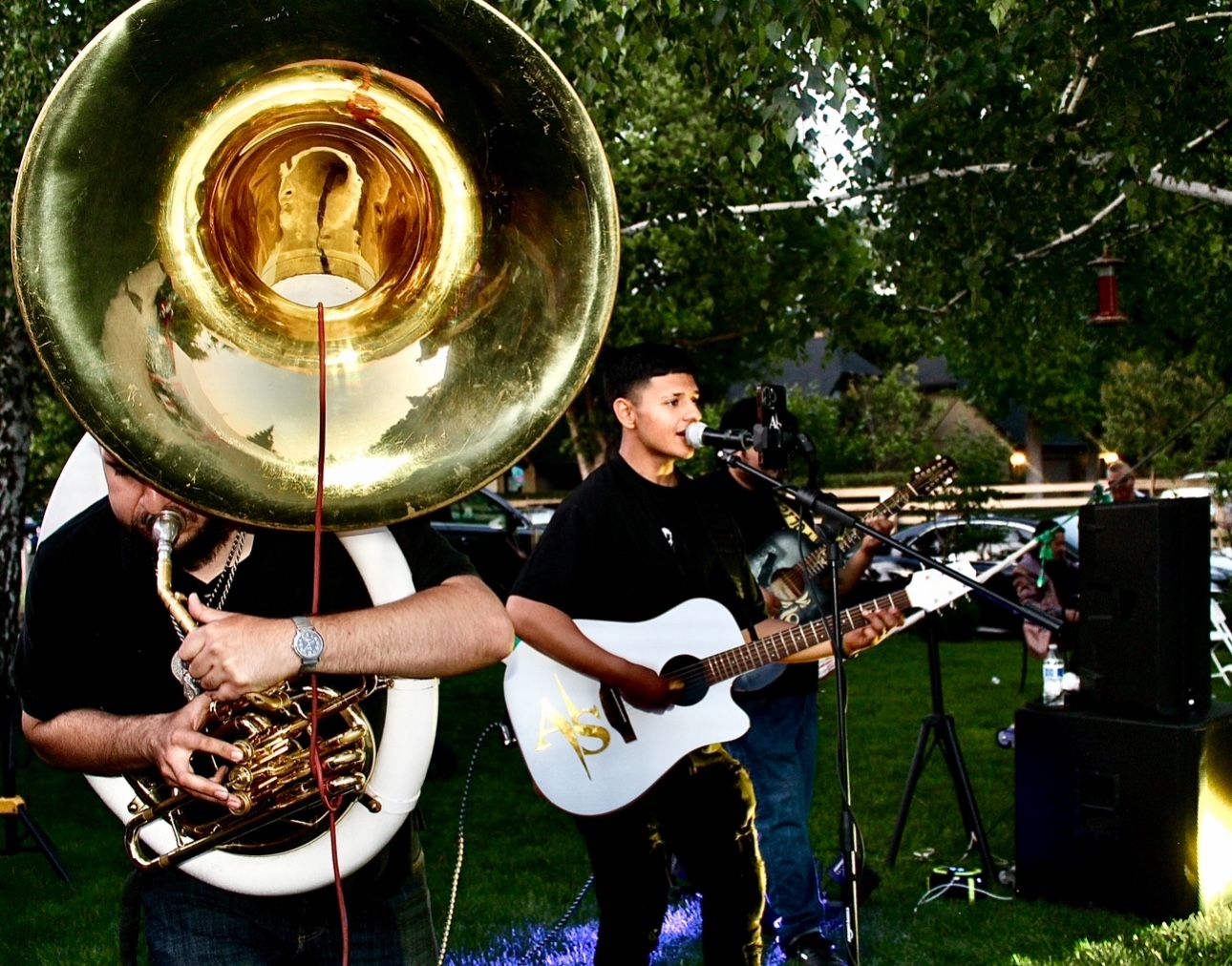 Grupo Con tuba Tololoche Guitarras