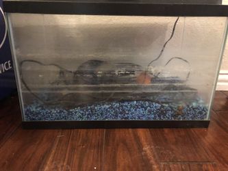 Fish tank w/ all components