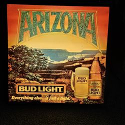 Beer Signs & Collectibles 