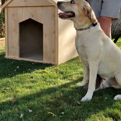 Dog Houses
