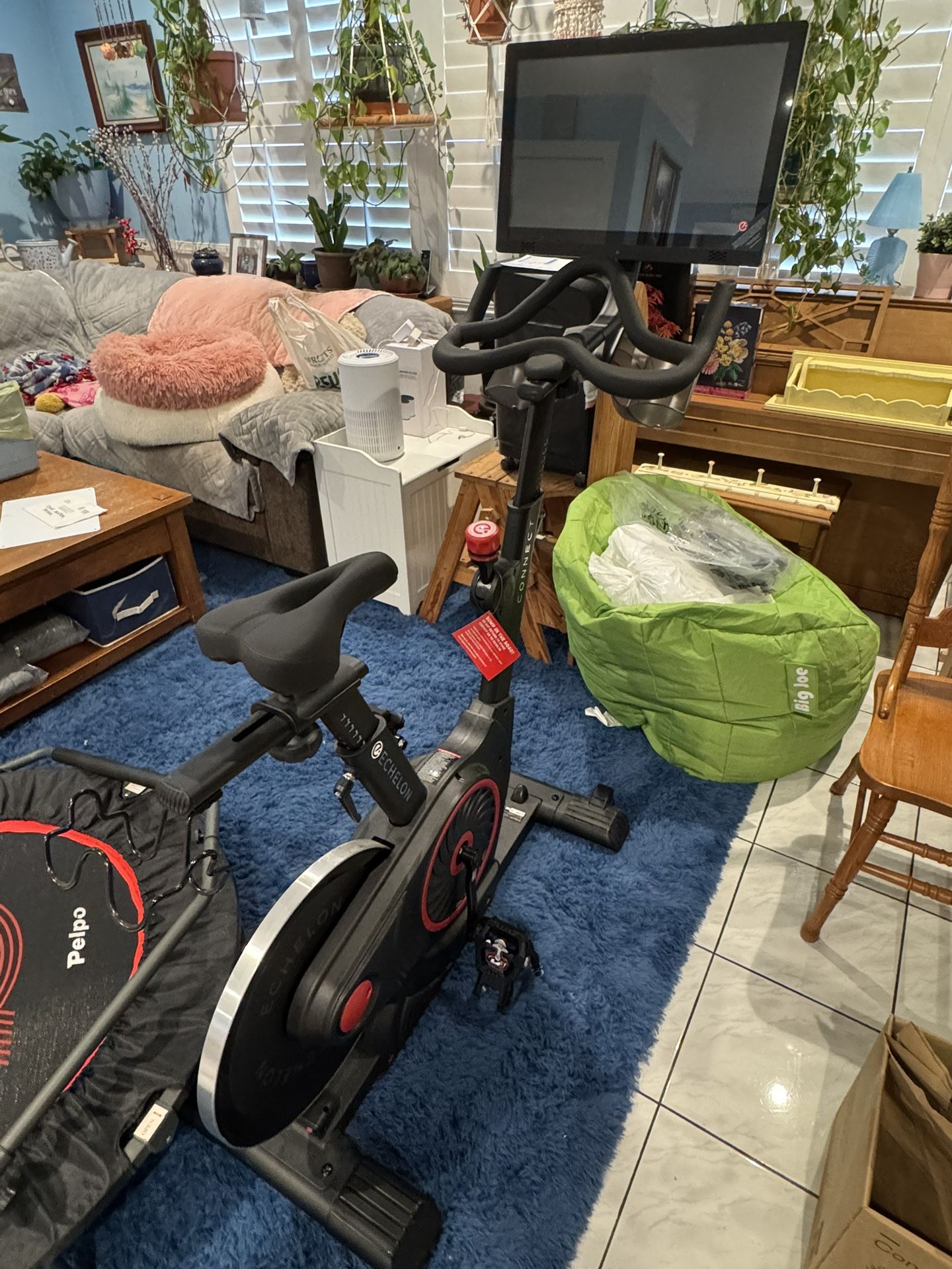 Free Echelon Exercise Bike And Trampoline MUST TAKE BOTH