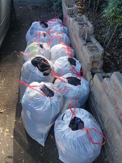 12 bags of clothes