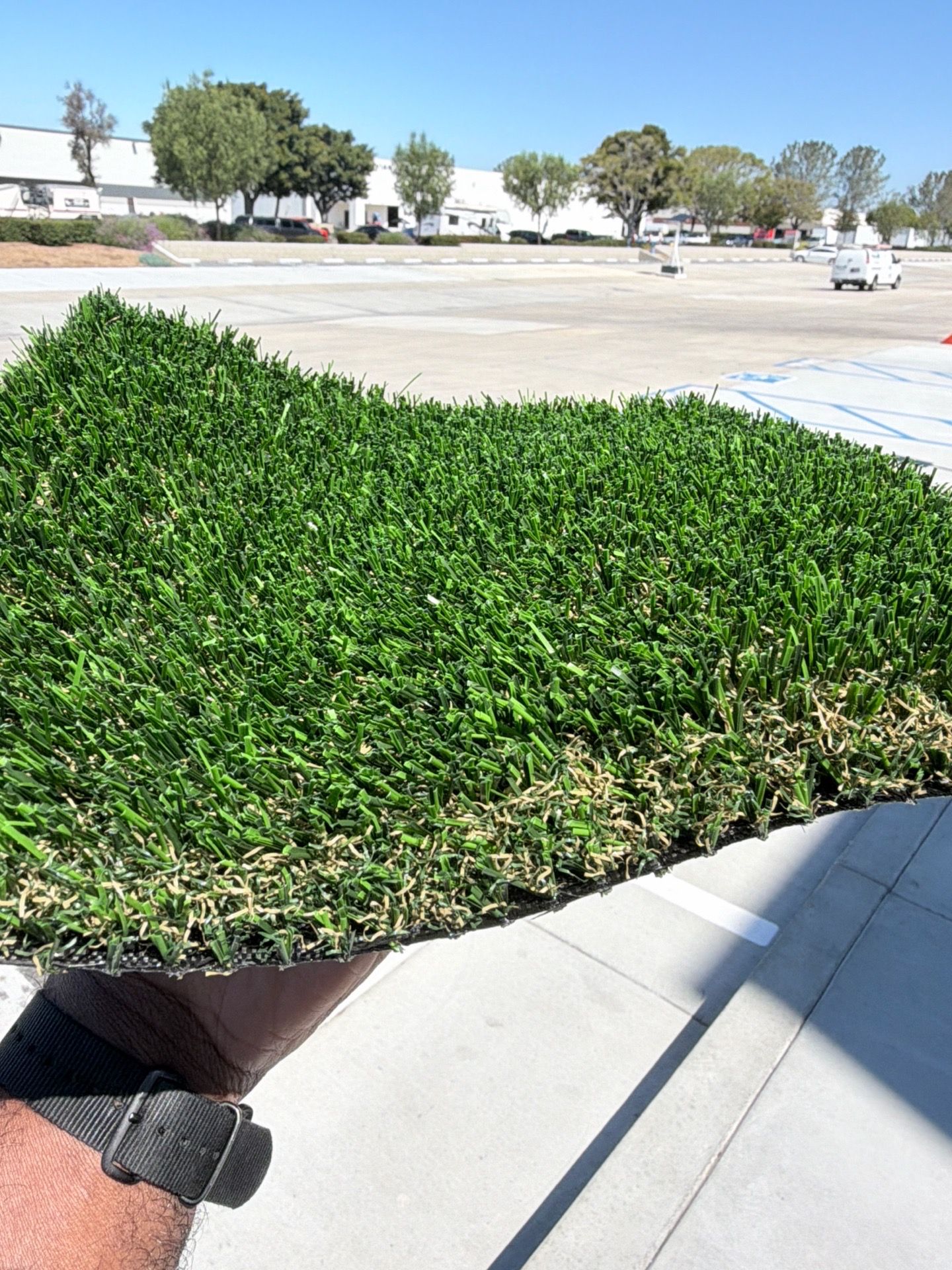 $1.99/sqf Synthetic Grass Turf