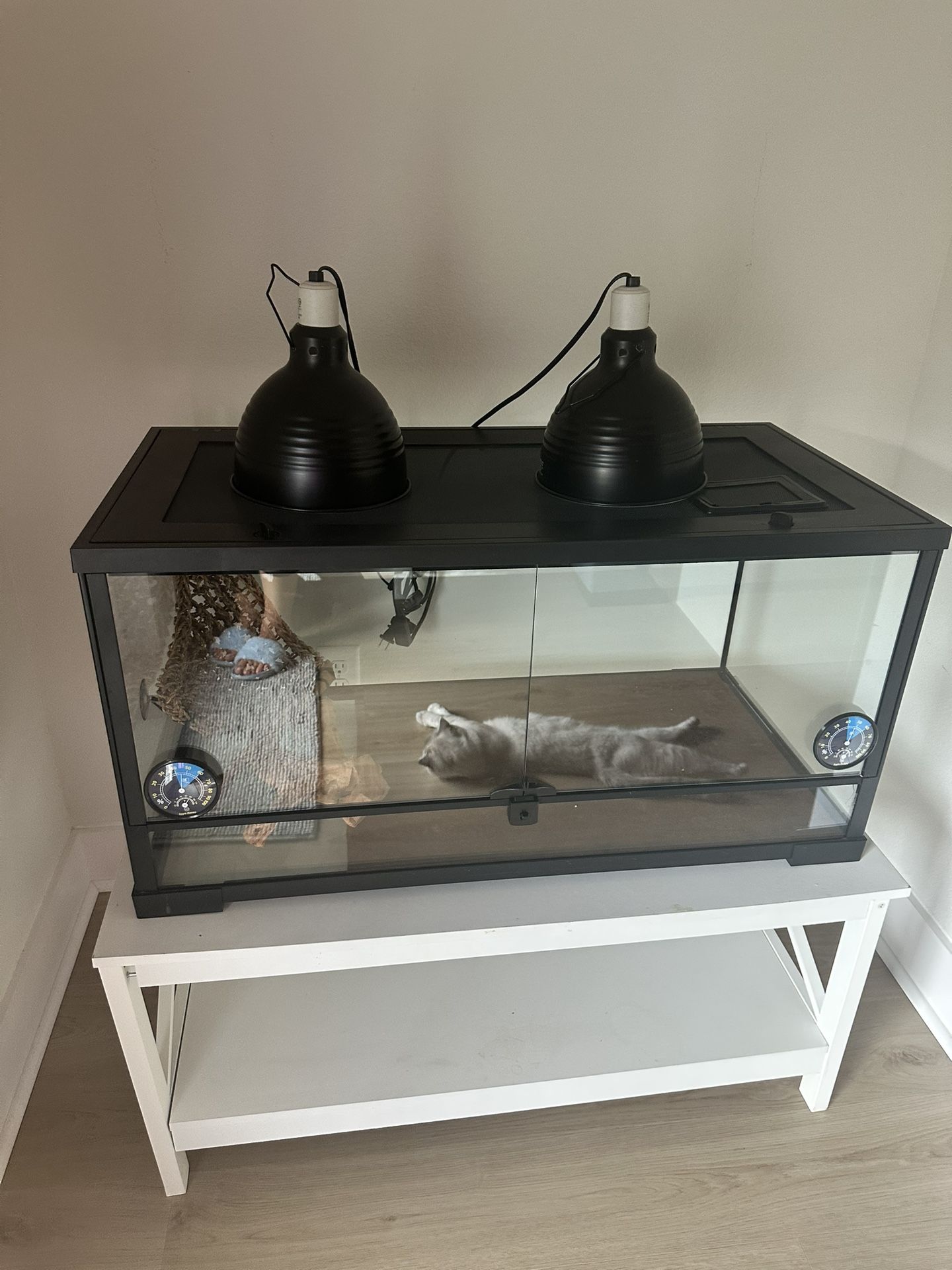 25 gallon tank with all decoration and supplies needed to care for a leopard gecko