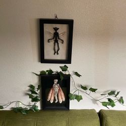 Skeleton Fairy Photo Frames