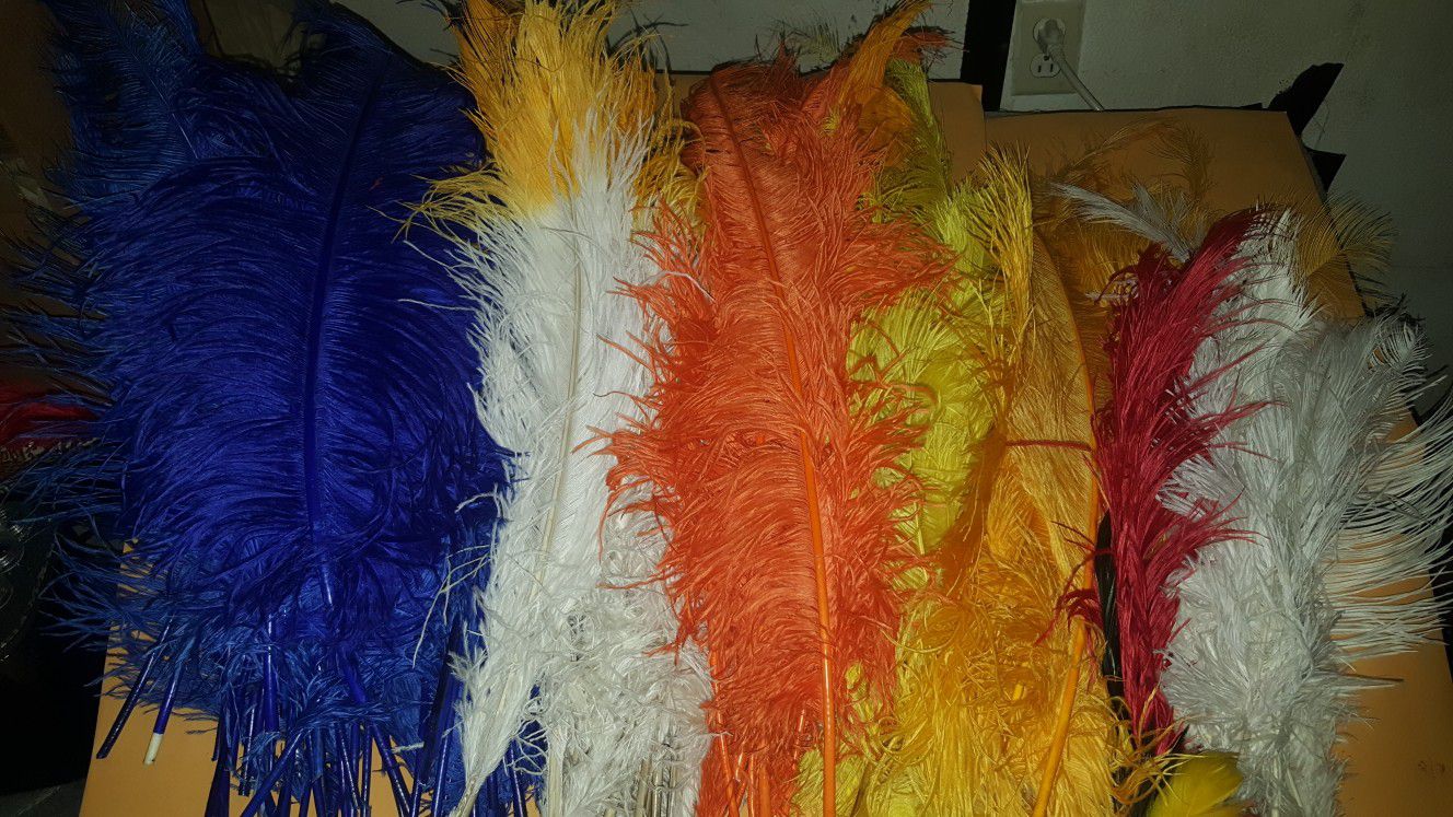 Real Ostrich Feathers