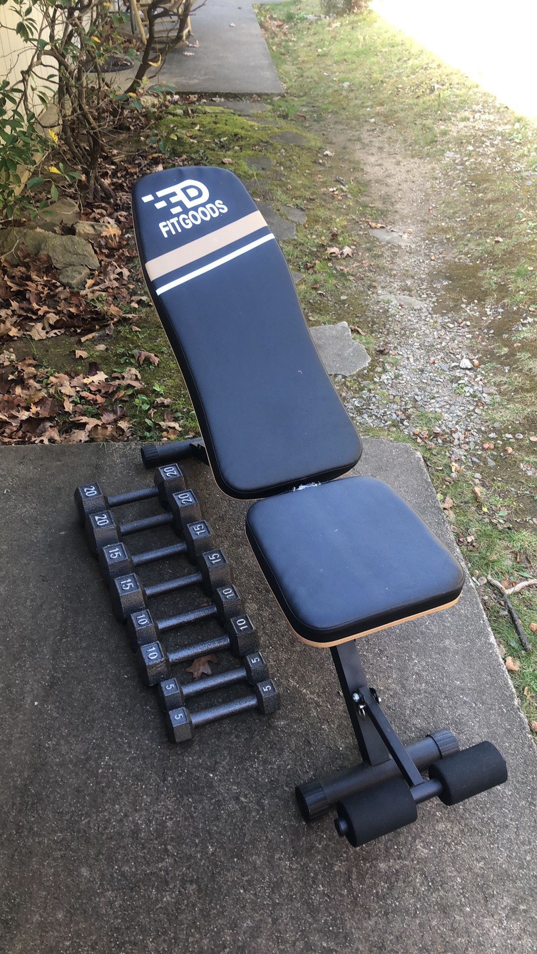 FITGOODS Adjustable Weight Bench | 5Lbs-20Lbs Dumbell Sets | Two Floor Mats