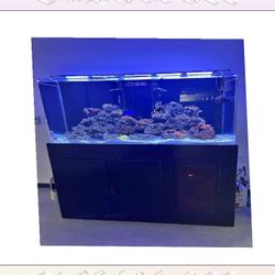 Top-Grade Aquarium Setup - Premium Quality Standard war beautiful