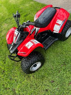 50 Suzuki