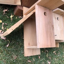 Cedar bird nest boxes