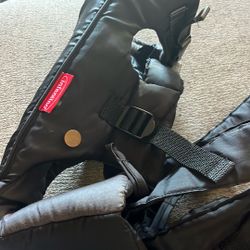 infantini carrier for an infant