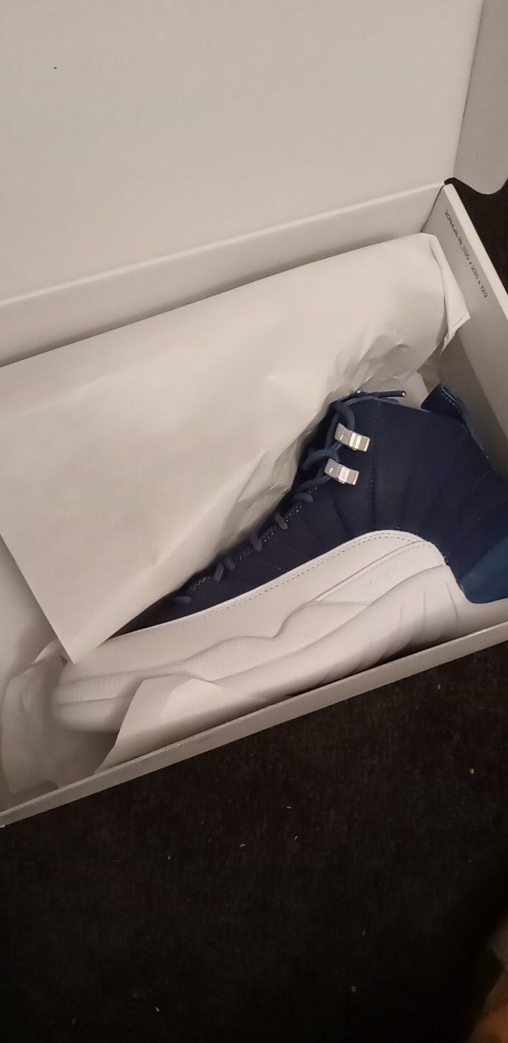 New Jordan 12s Blue &White