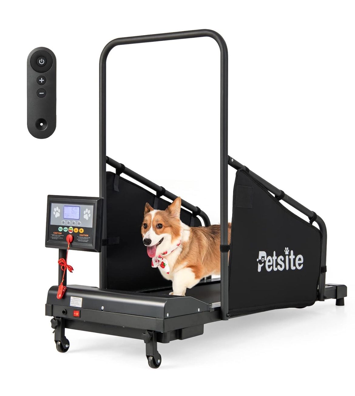 Dog Treadmill